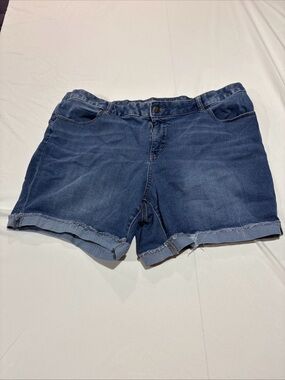 Terra & Sky Womens Plus 22W Denim Jean Shorts High Rise